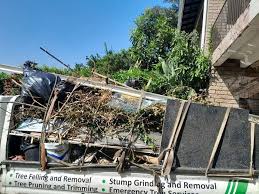 Best Electronics and E-Waste Disposal  in Vail, AZ